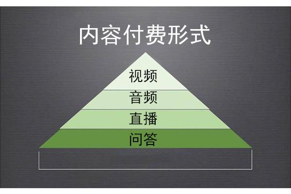 内容付费形式.png