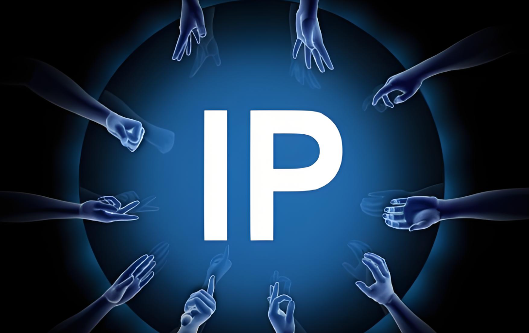 知识IP.jpg