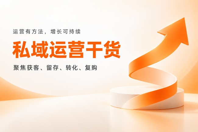 私域运营干货_简洁版4_650x433.jpg 私域运营干货_简洁版4_650x433.jpg